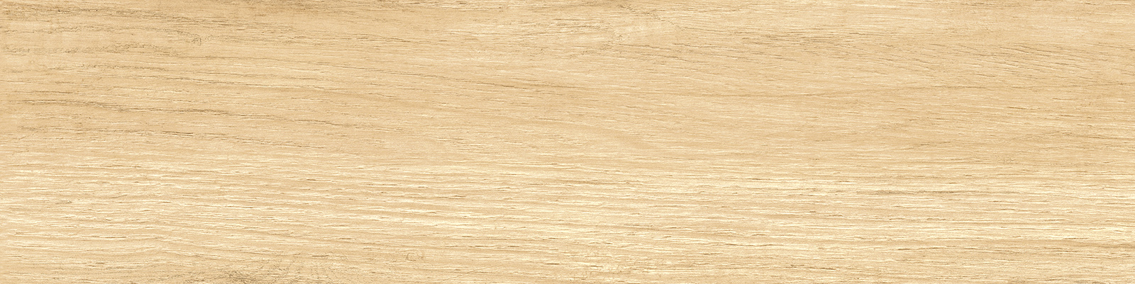 GP1560SAB11 Sunbau Oak Sugar 151x602 New Trend