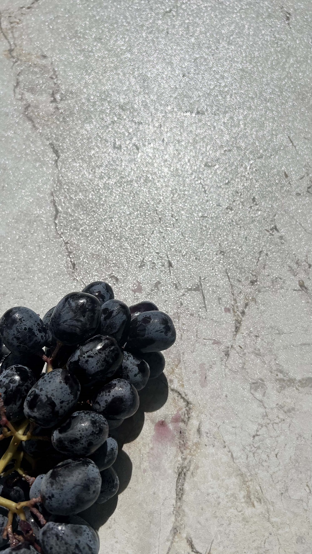 Esme Realistik фото 6