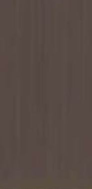TC Coffee Brown Mat 60x120 Mega Tile