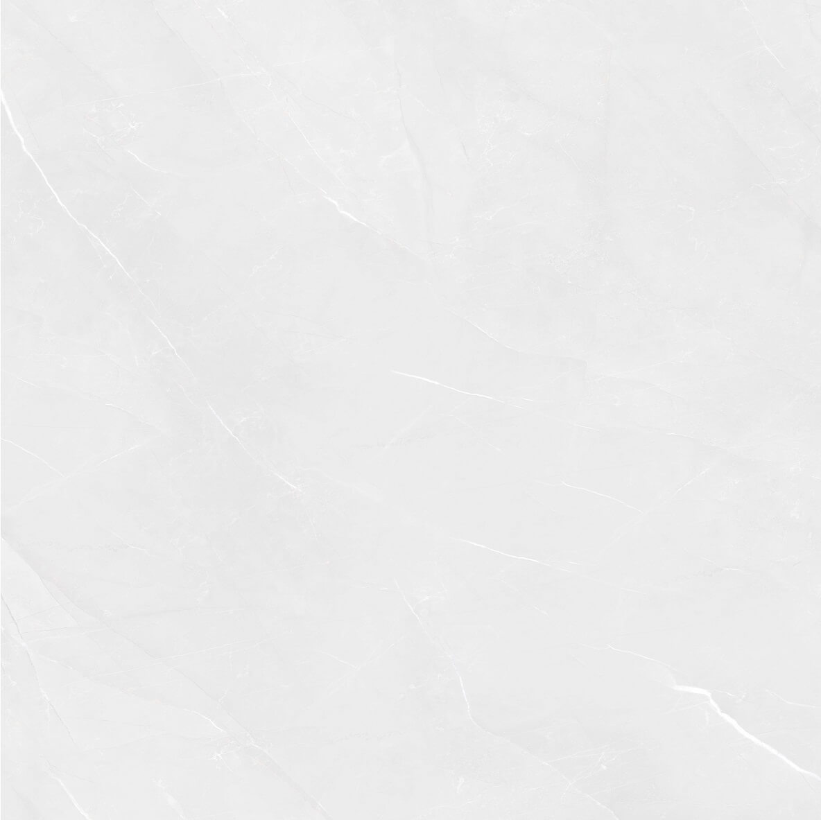 166513 Fluorite Polished 60x60 Pardis Ceramic Pazh