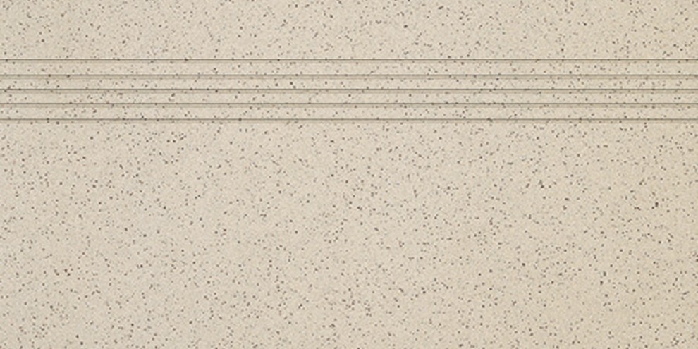 TCPSA061 TAURUS GRANIT 30x60 RAKO