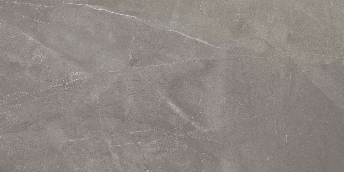 Armani Gris Glossy 60x120 Art Ceramic