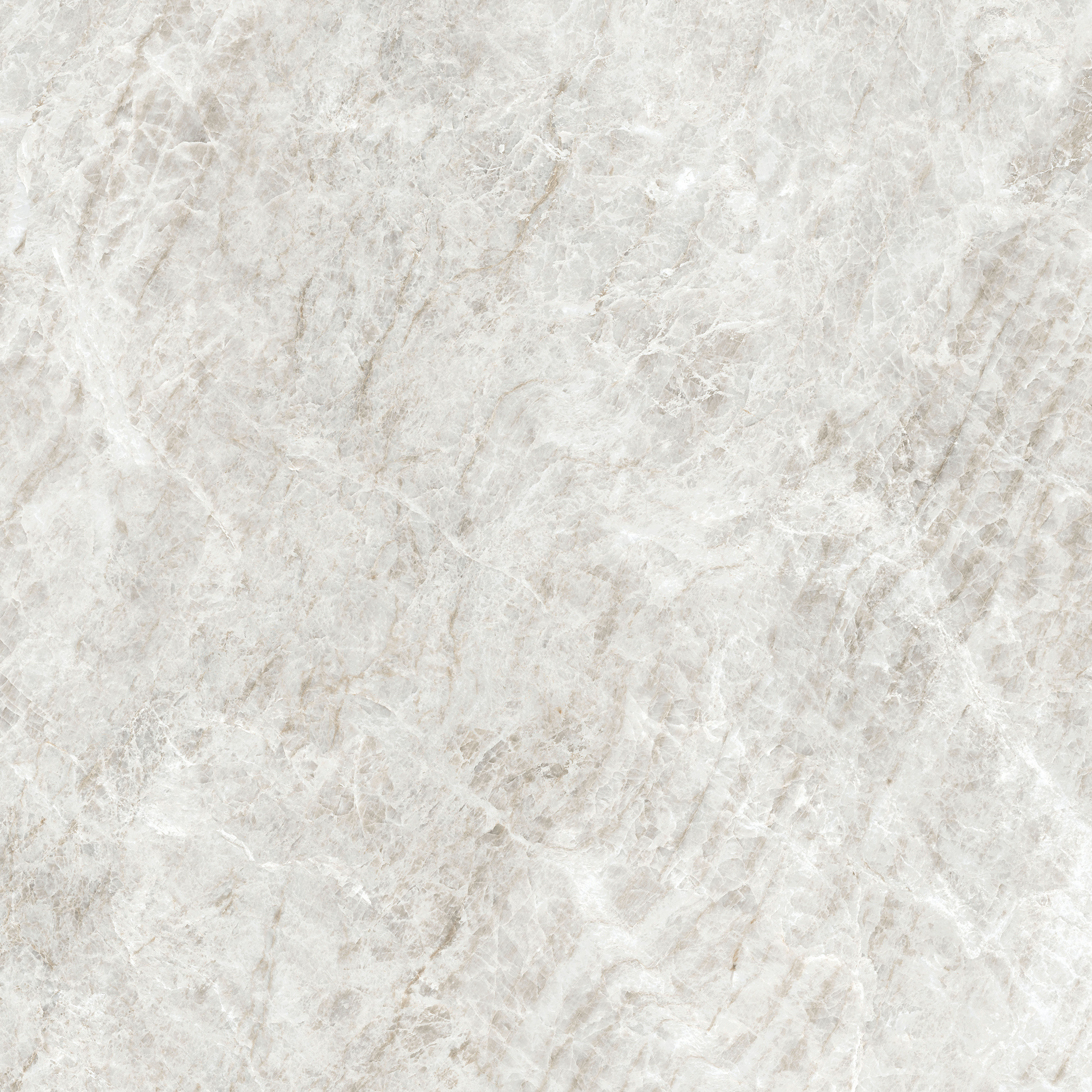 784545 Iconic Life Rice Yamuna Glossy 80x80 Cerim фото 5