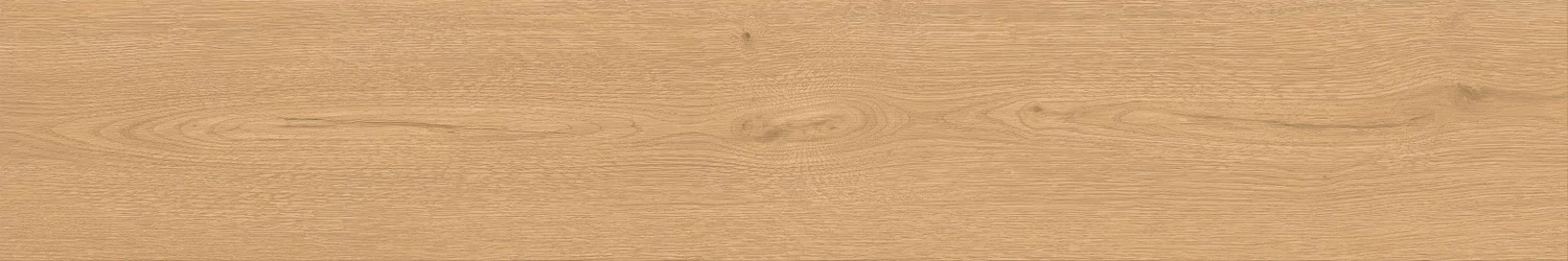 A841 Entice Pale Oak Natural R10 20x120 Atlas Concorde