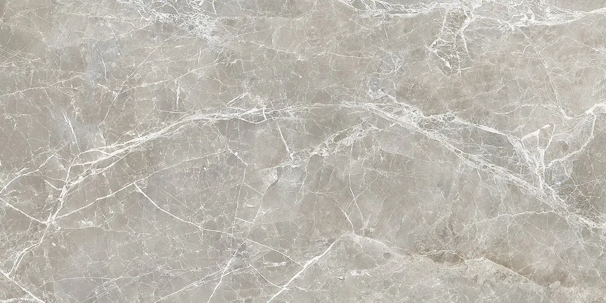 EKS8 Unique Marble Moon Grey Silktech 60x120 Provenza