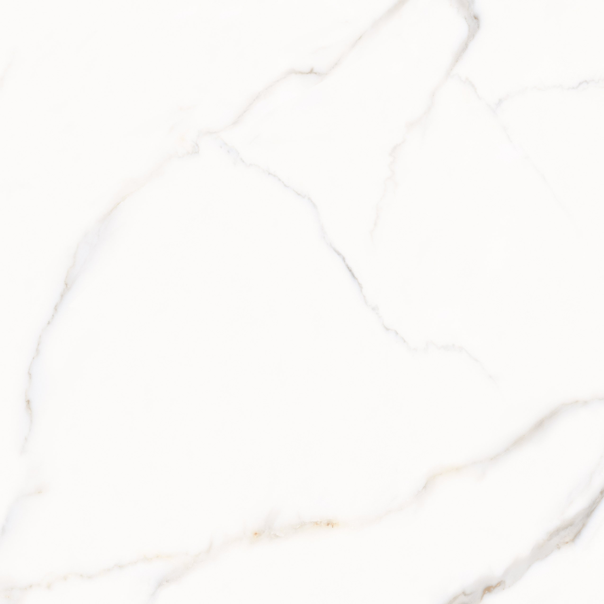 Tokyo White PGVT 120x120 Casati Ceramica