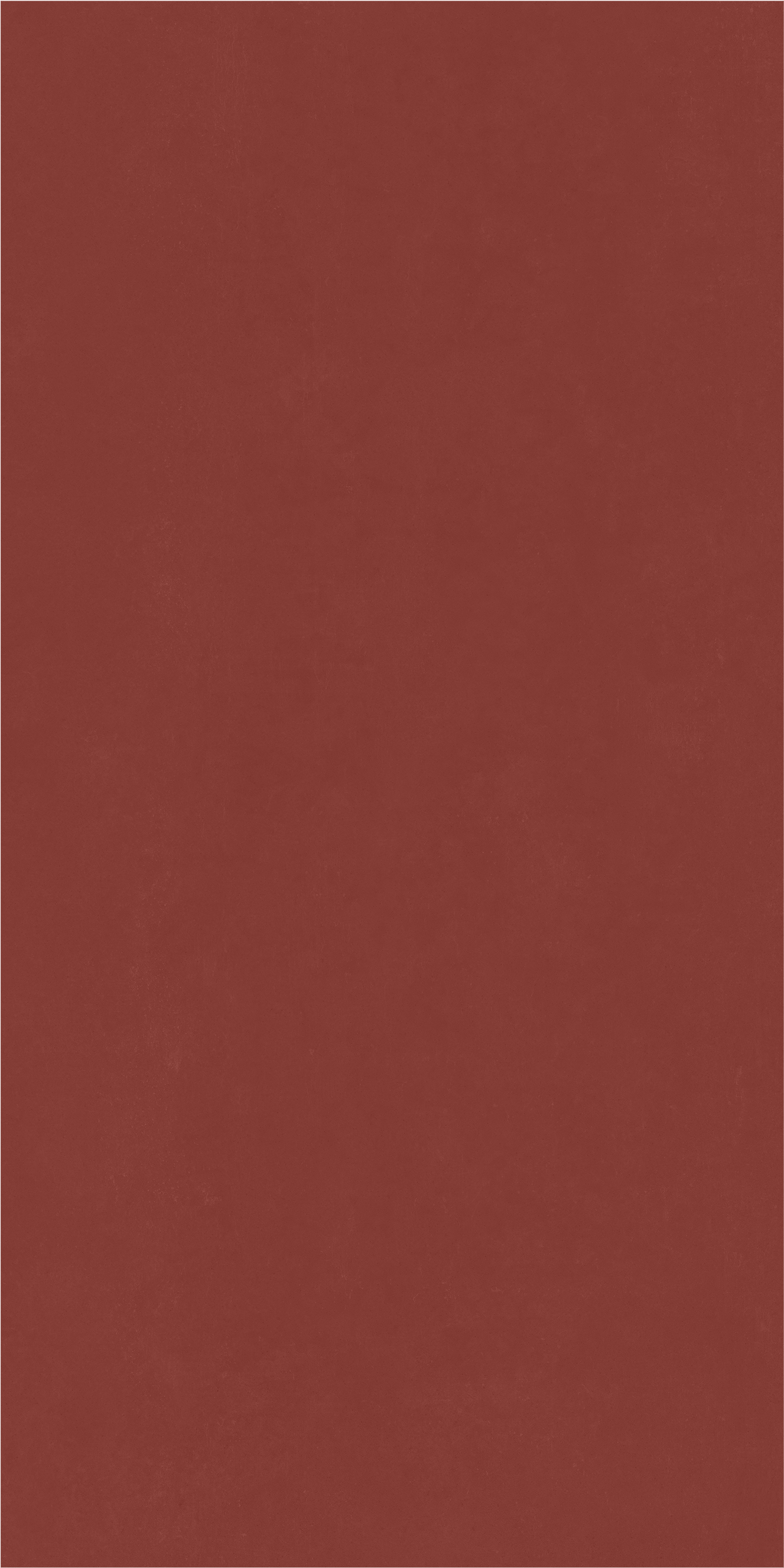 600010002374 Серфейс Эксклюзив Рэд Нат Рет 80x160 Italon фото 2