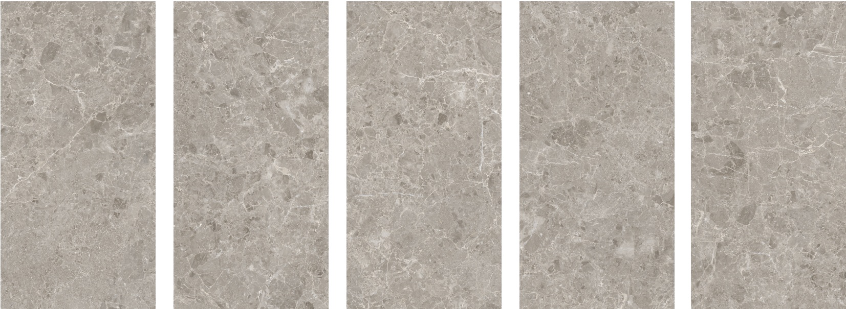 Neo Emperador Gris Satin 60x120 Staro фото 2