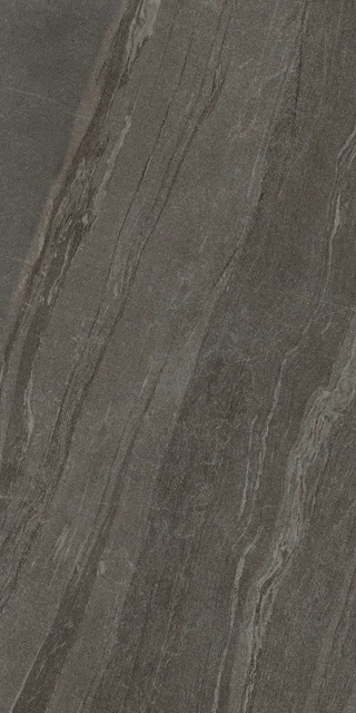 776531 Woodslate Life Bark Matte Ret 6mm 120x240 Cerim