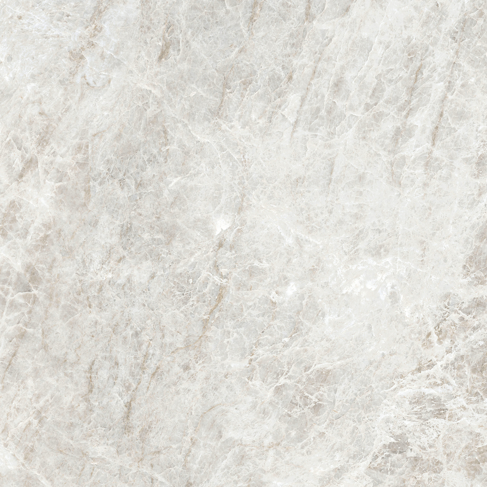 784549 Iconic Life Rice Yamuna Glossy 60x60 Cerim фото 6