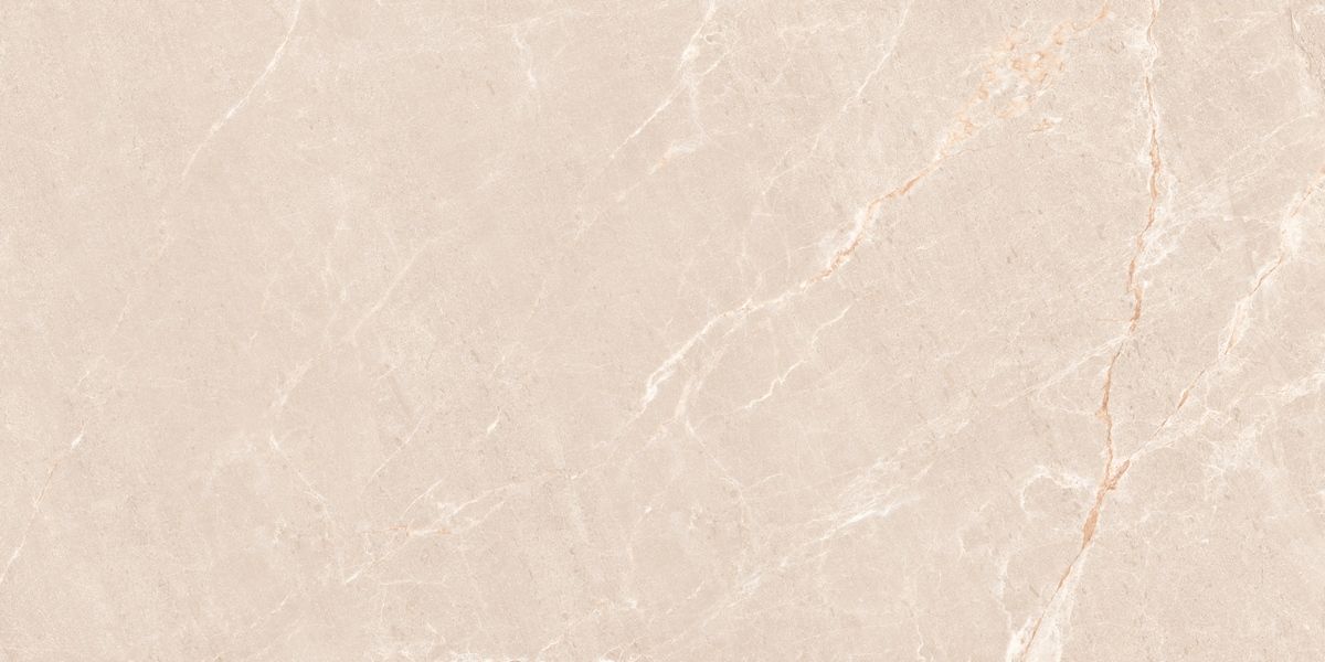 N20554 Persian Beige Matt 60x120 Neodom