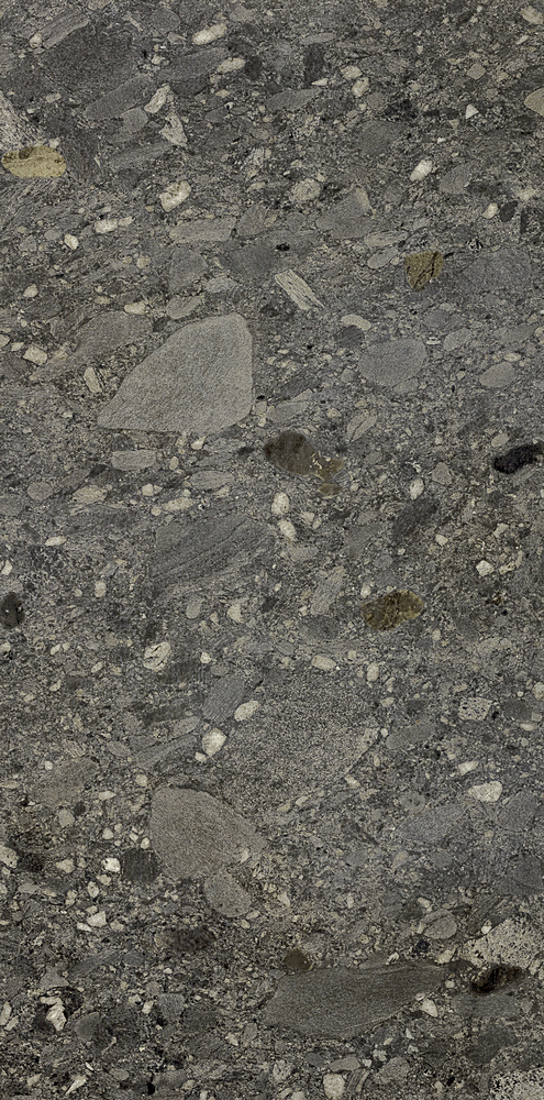 Ceppo Nero Rett 60х120 Cercom фото 3