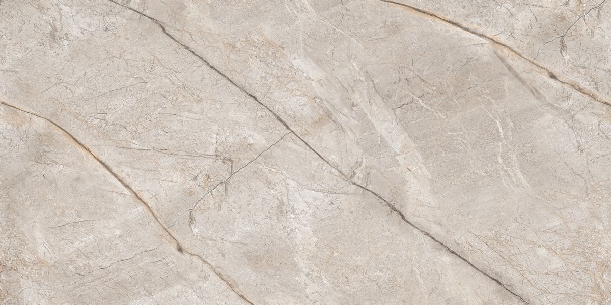 N80016 Silver Stone Carving 60x120 Neodom