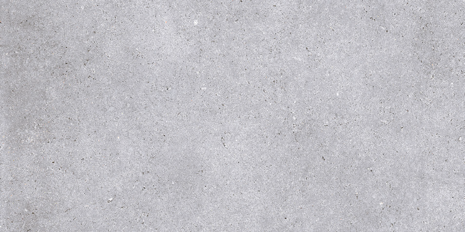 NR211 Nemo Light Grey 60x120 PrimaVera