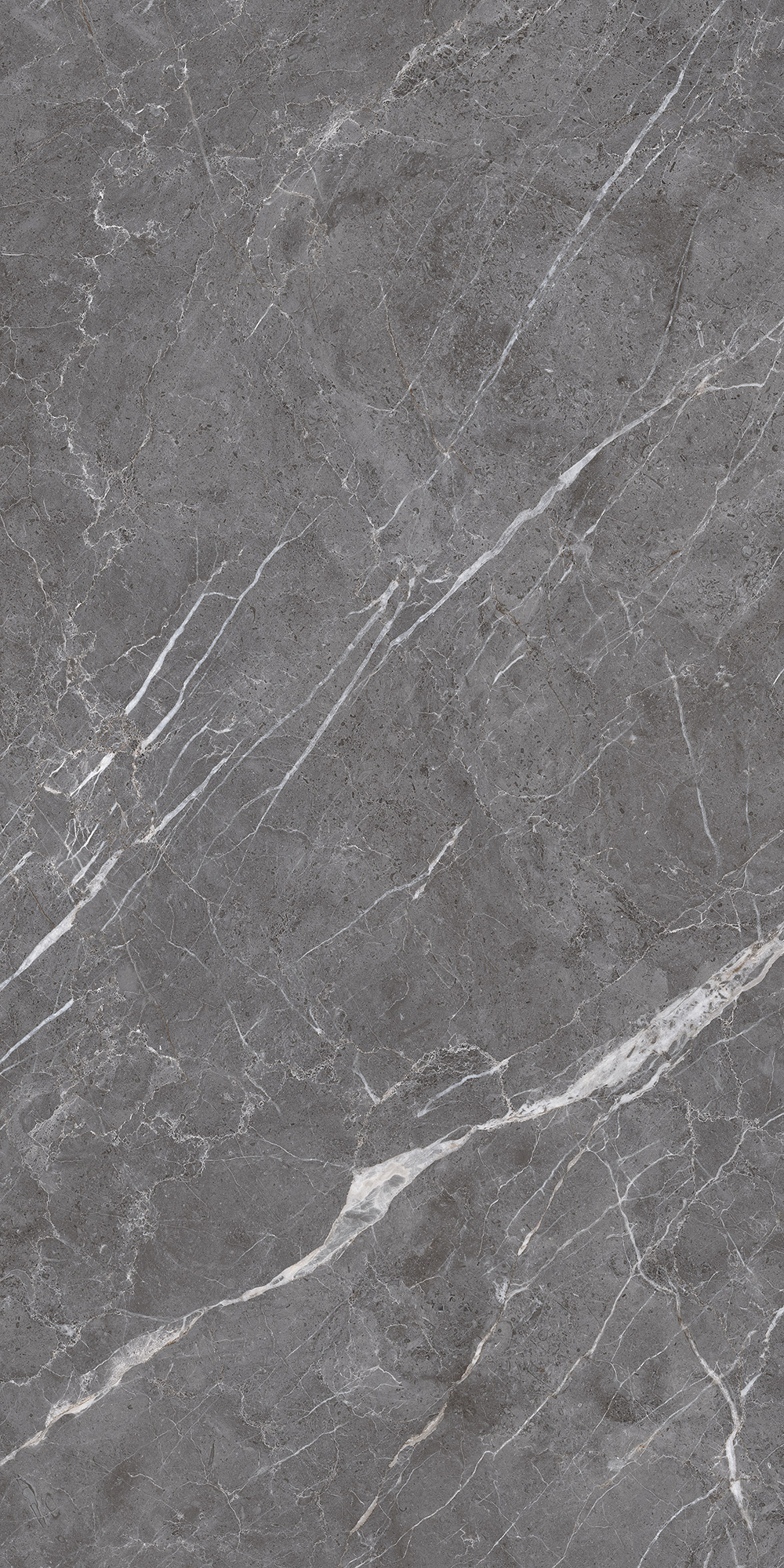 CL4003-A Esperia Grigio Carving Lappato 60x120 Arcadia Ceramica