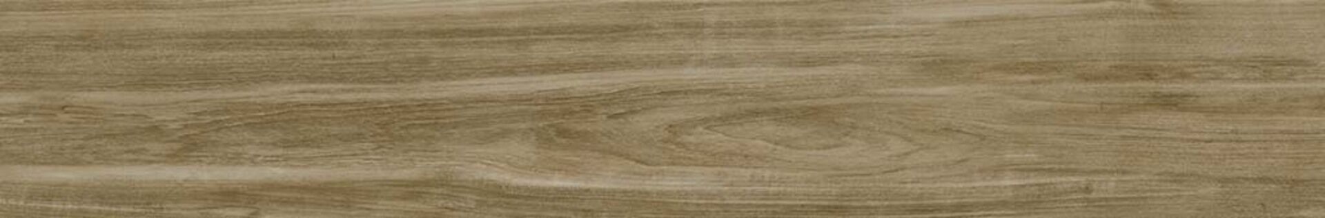 Alessandria Camel 19.5x120x0.9 Prissmacer фото 10