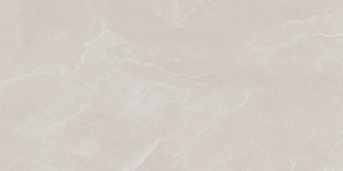 Archie Bianco Pro светло-серый матовый R10GR STR 60х120 Laparet