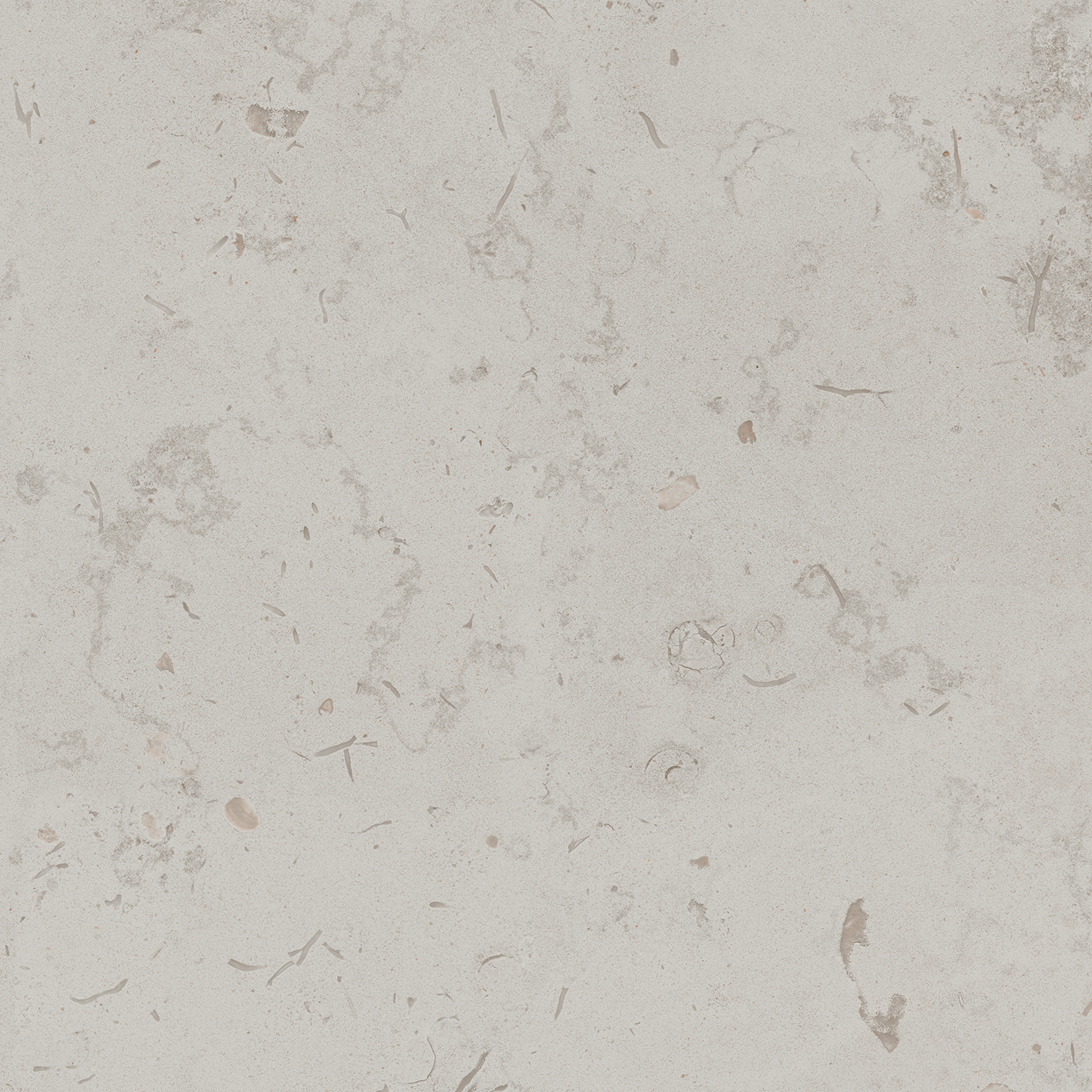 DD641020R Про Лаймстоун серый светлый натуральный обрезной 60х60 Kerama Marazzi
