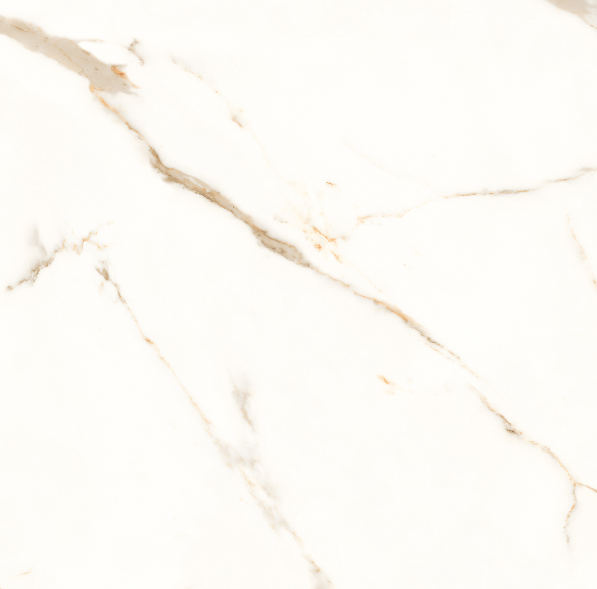 Venato Calacatta Gold белый сатинированный 60х60 Laparet