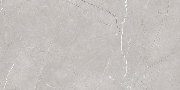 Larice Grey 60x120 Gravita