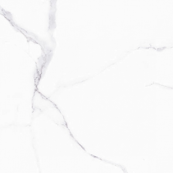 ALSACIA 60x60 Cicogres