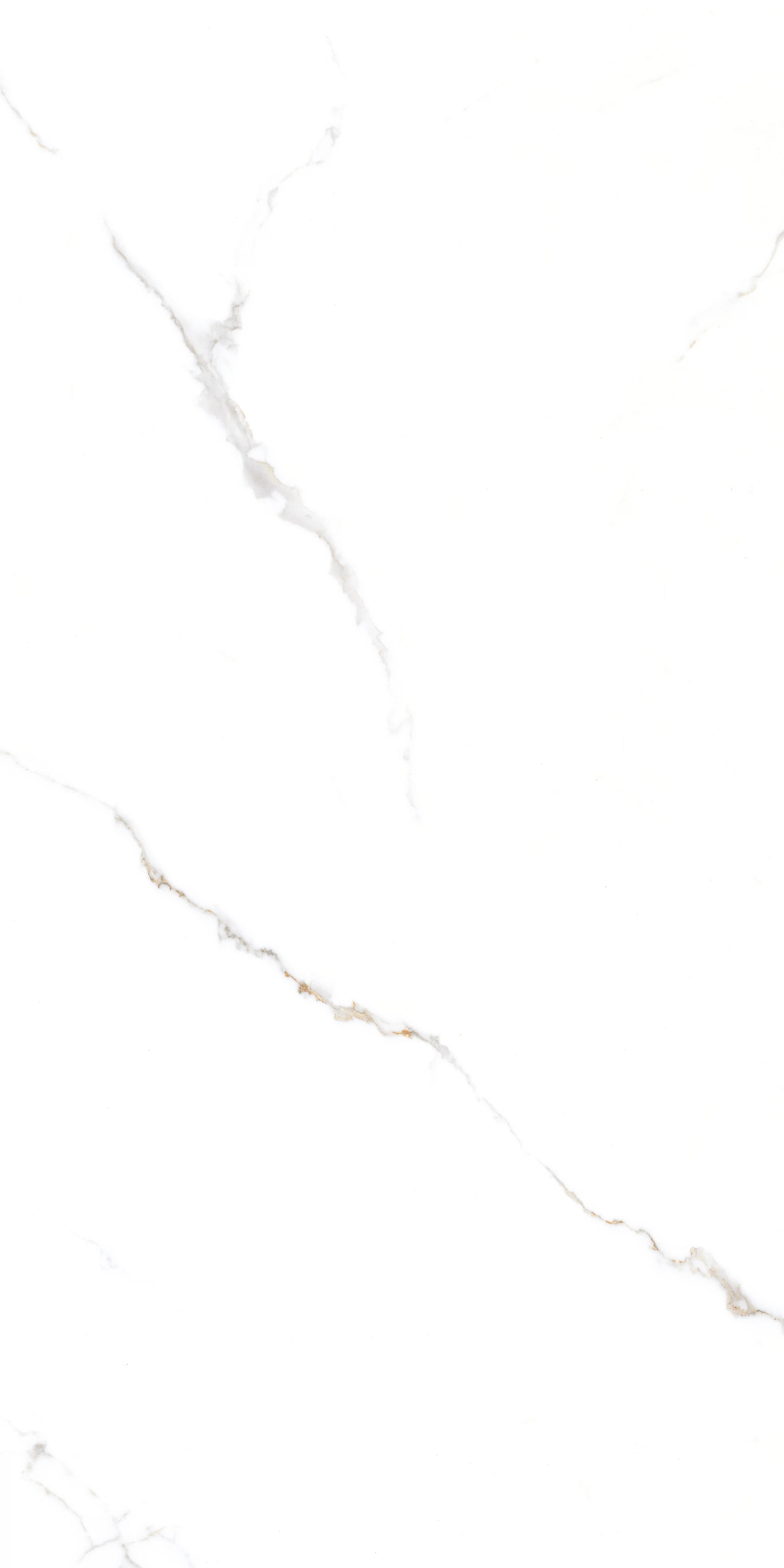GT1206015103PR Corus Белый полированный 60x120 Global Tile