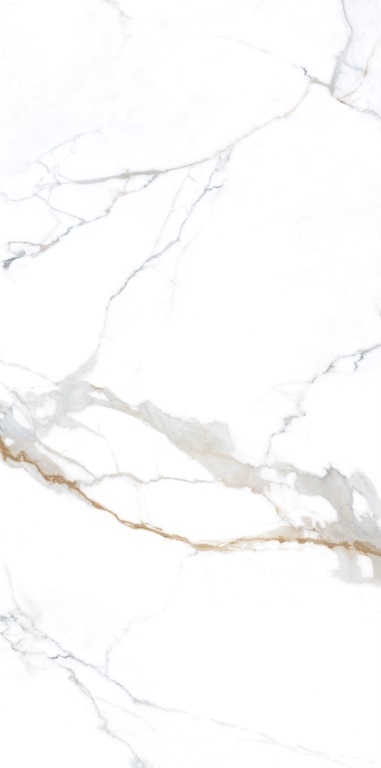 NTT3001P Carrara Gold 120x240 NT Ceramic