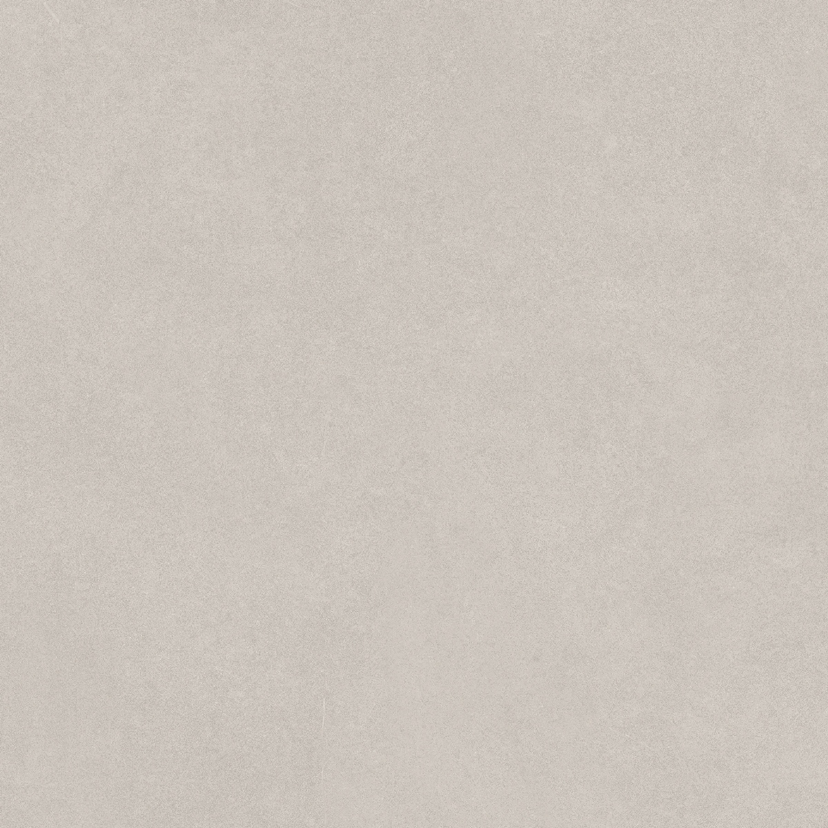 N100007 Levels Birch Matt 20x20 Neodom
