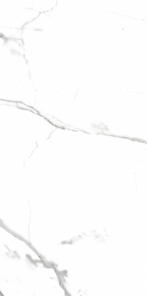 PR207 Salvatore Polished 600x1200 PrimaVera