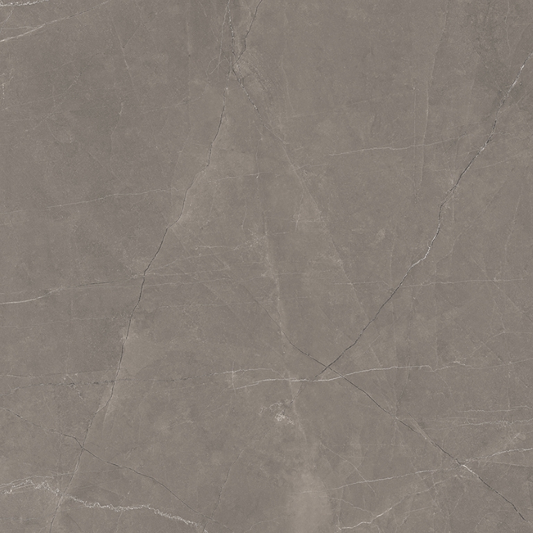 Splash Grey серый 60х60 Laparet