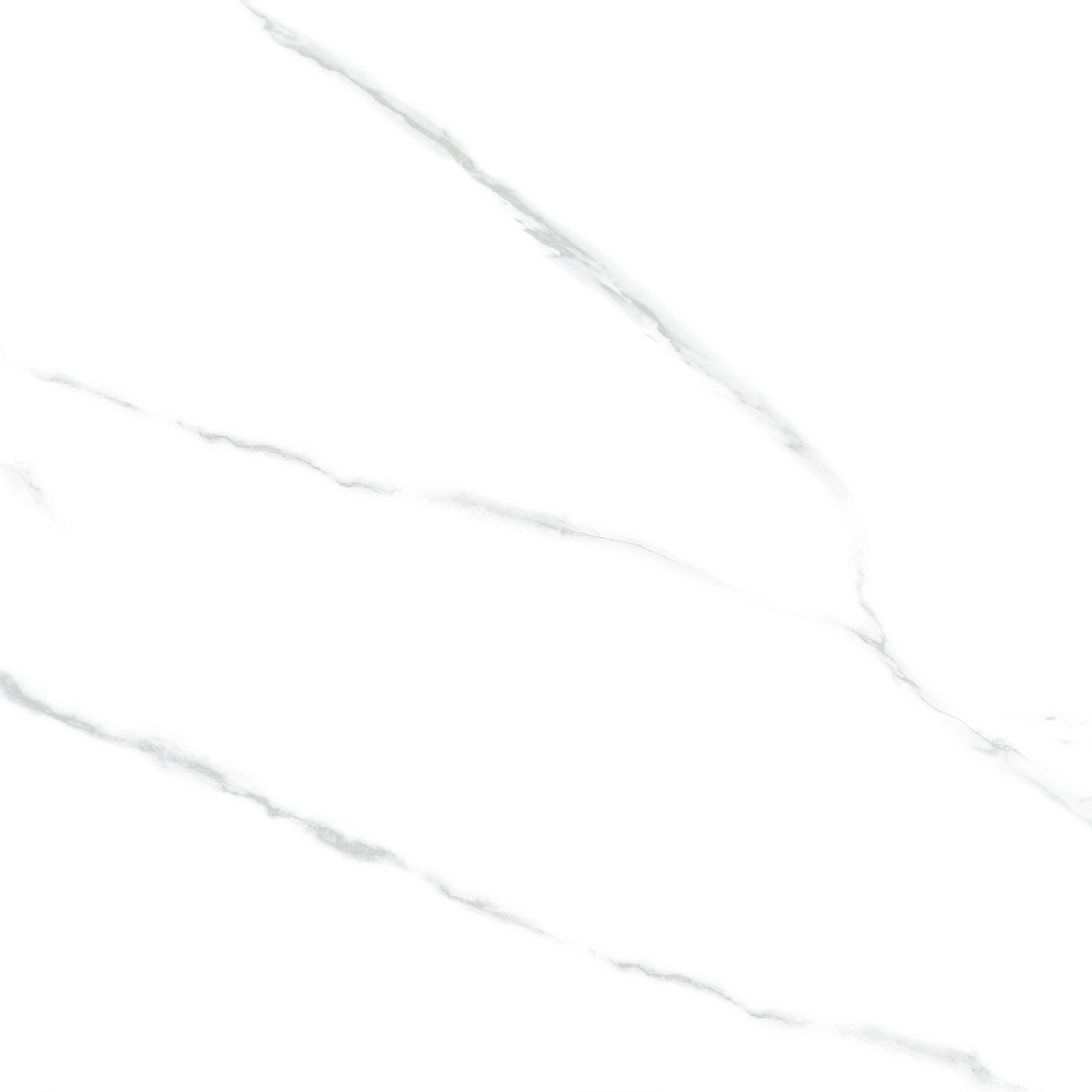 6060AMR00P Atlantic Marble 60x60 LCM