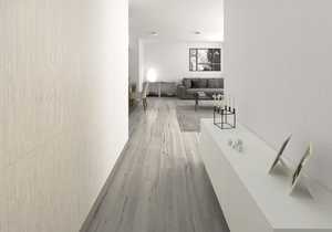 Forest La Platera