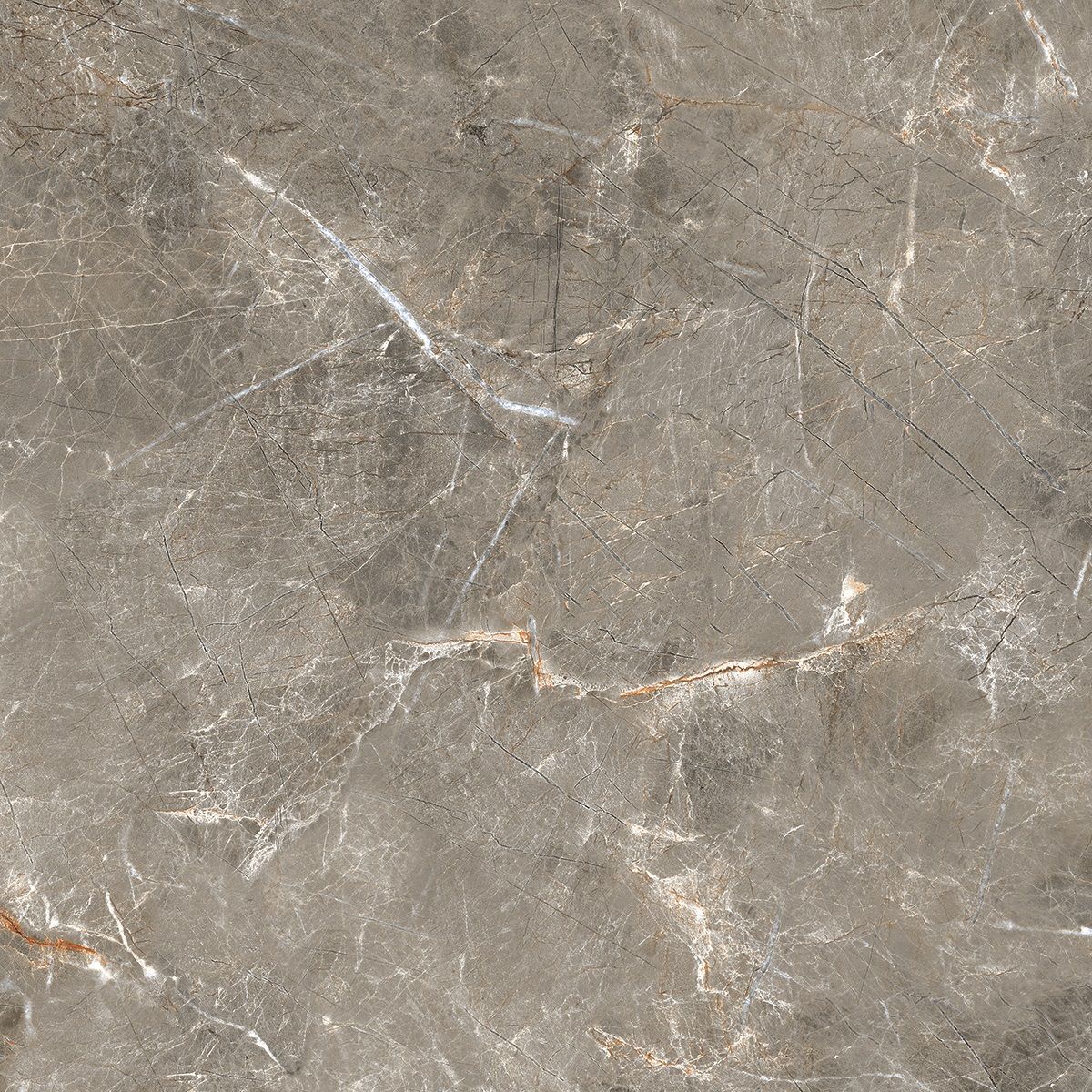 R_PR1023 Olympia Grey Polished 60x60 Royce