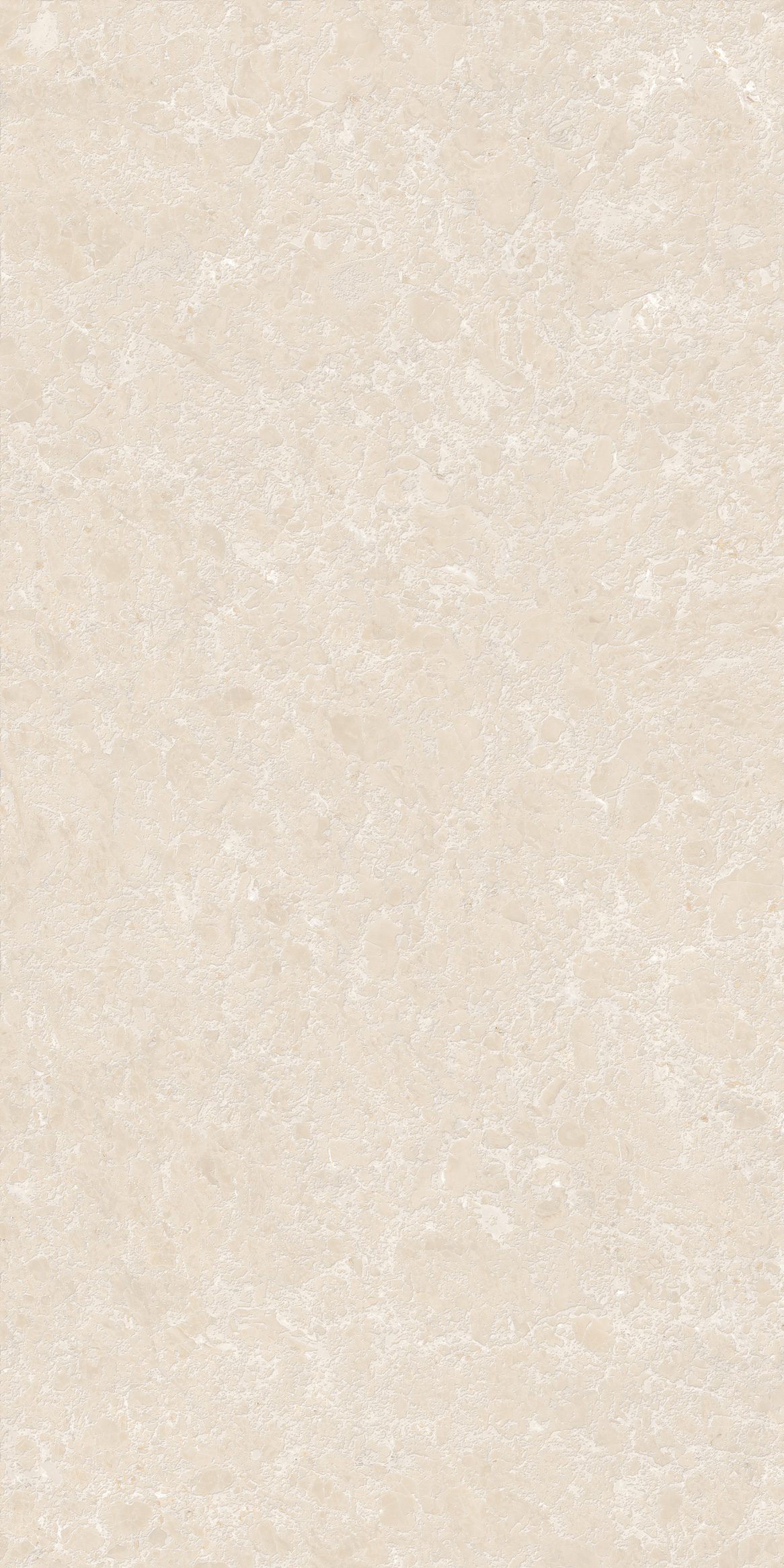 GT1206025402M3GR Shell Бежевый 3D граниль 60x120 Global Tile фото 15