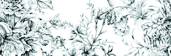 Frunce-4 25x75 VIVES