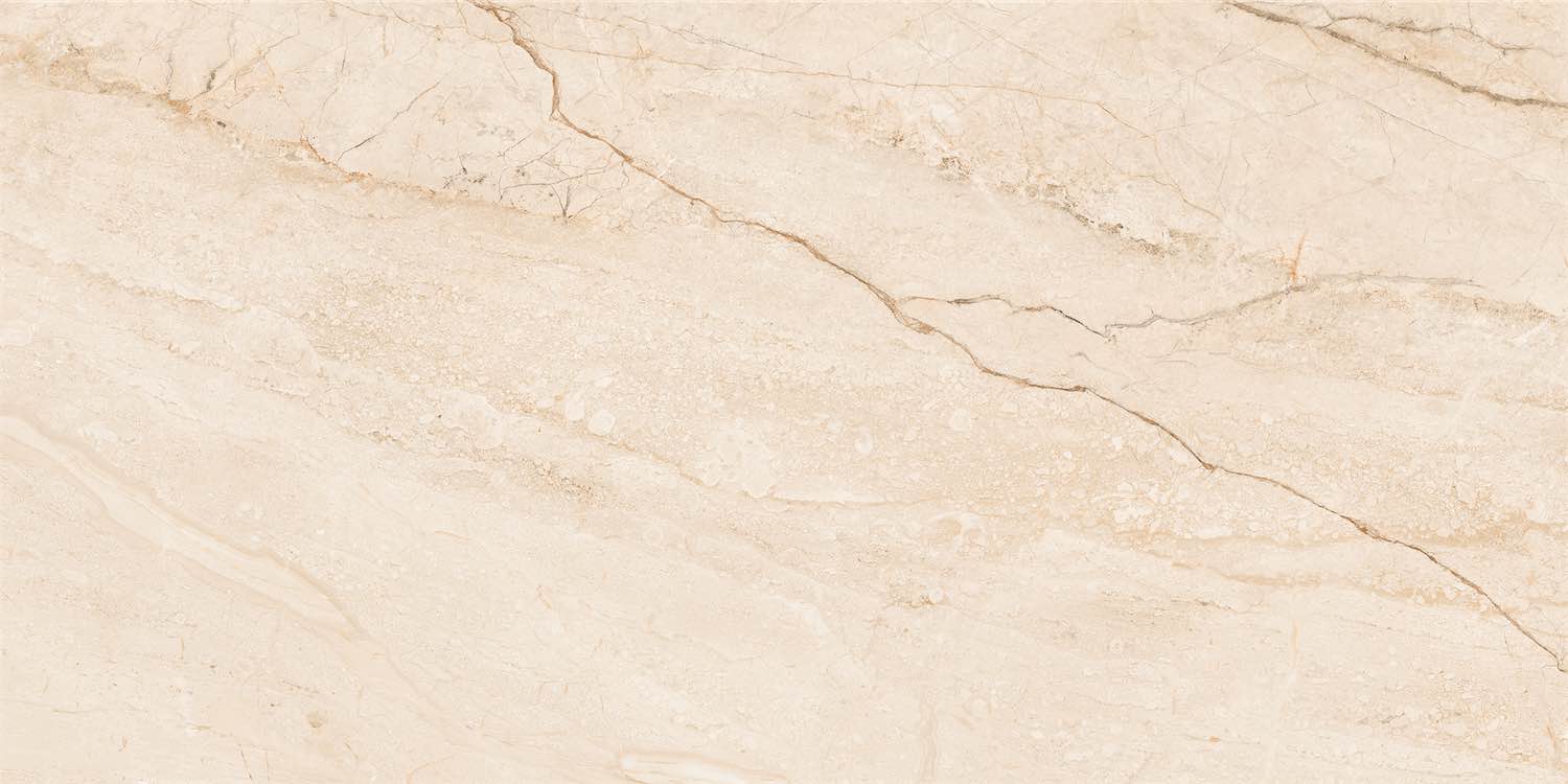 NTTHS99956D Barcelona Beige 60x120 NT Ceramic фото 4