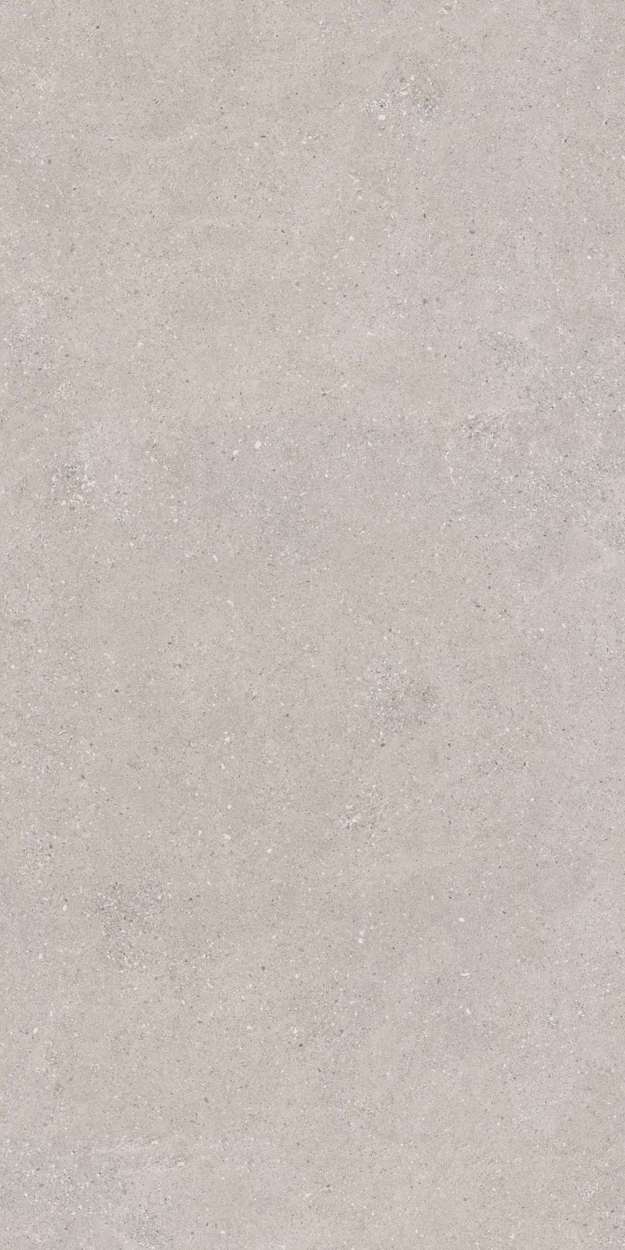 CE02 Спенс Светло-серый Структурированный Рект 60x120x9 Estima фото 6