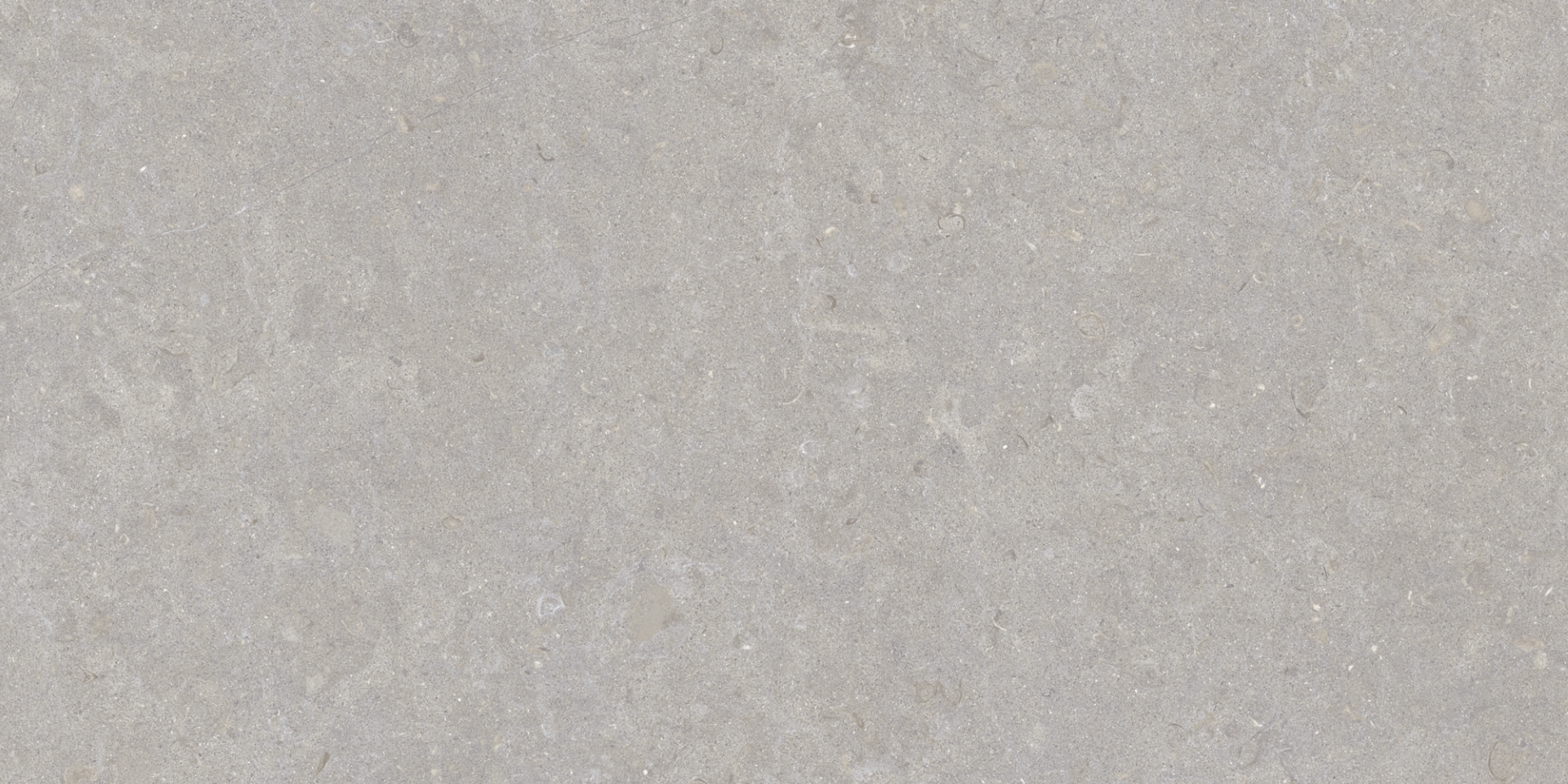 35568 Ghent Grey/50X100X2/A/R 50x100 Peronda фото 4