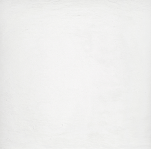 Ardesia Bianco 59.4x59.4 Polcolorit