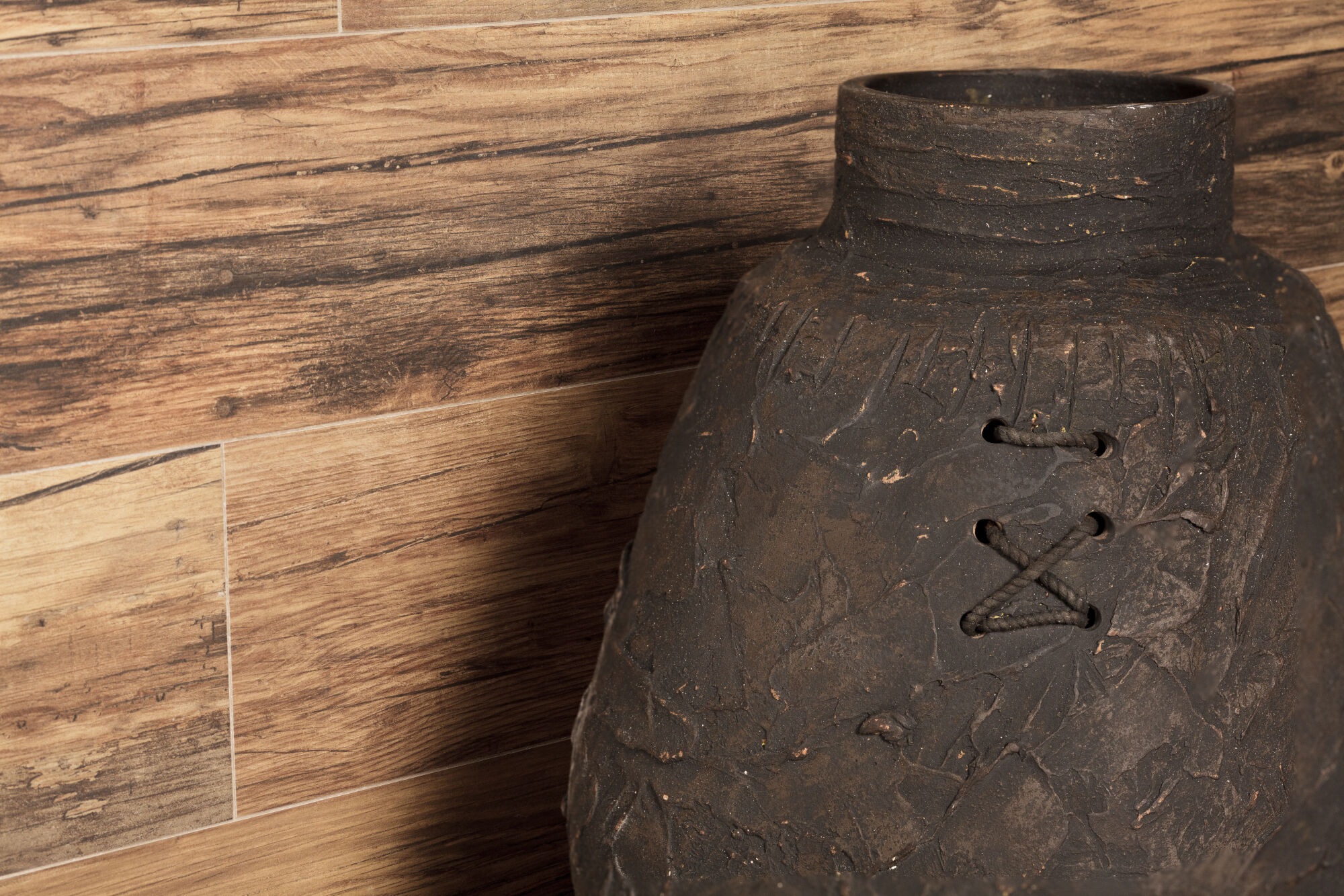 Fs Wild Peronda фото 4