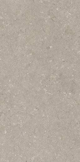 005468 Shellstone Taupe 60x120 Dado Ceramica