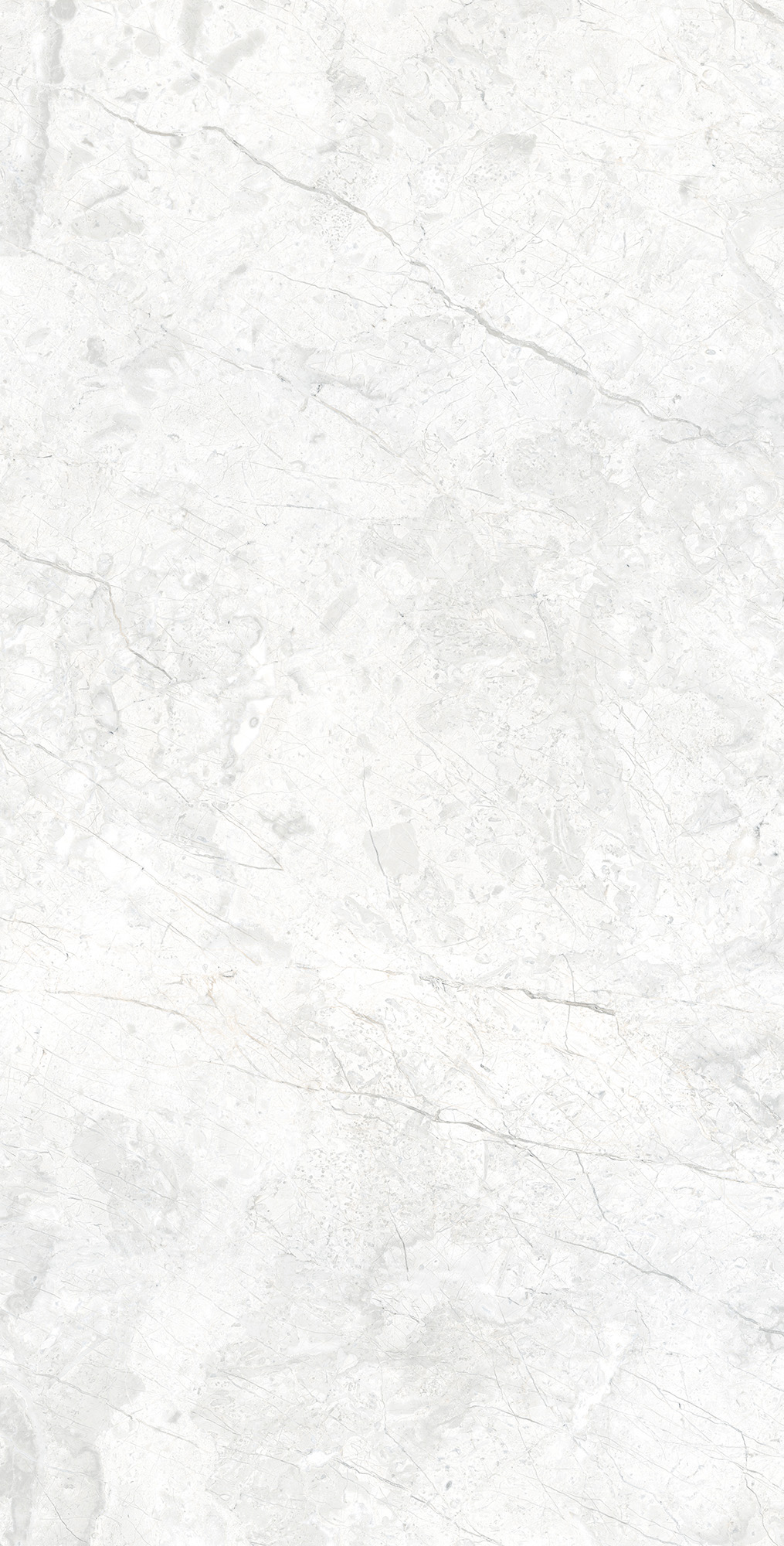 RT7015-A Marcus Bianco Matt Rustic 60x120 Arcadia Ceramica