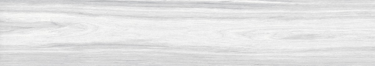 ENWD1024MT20120 Foresta Bianco Matt 120x20x0.9 Ennface