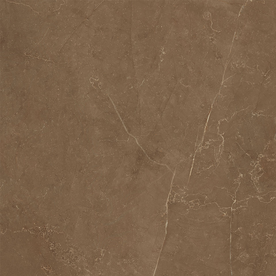65415 Pulpis Puro Nat/Rett 60х60 Cerdomus фото 8