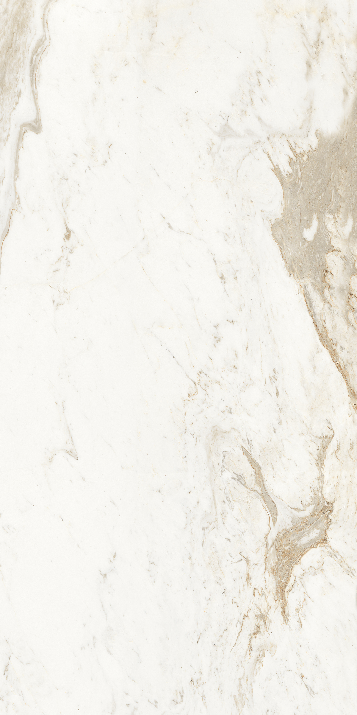 883 Alaska Bianco 120x60 Artcer