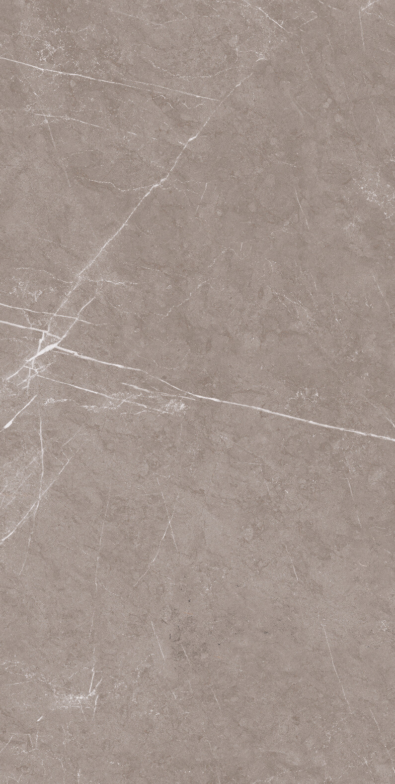 1070 Monte Taupe Carv 120x60 Artcer