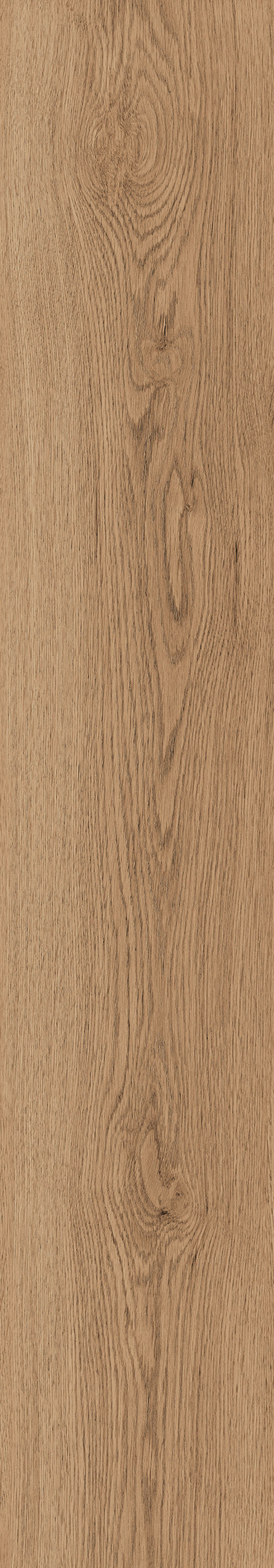 1106 Modena Brown Mate 120x20 Artcer