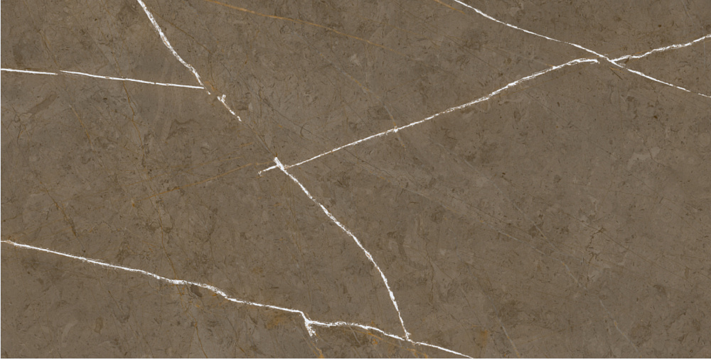 BHM-5009 Stone Brown 3D ink-soft glaze 60x120 Basconi Home