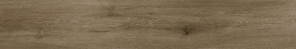 R0005-WD Jasmin Wood Natural матовый 20x120 AVS