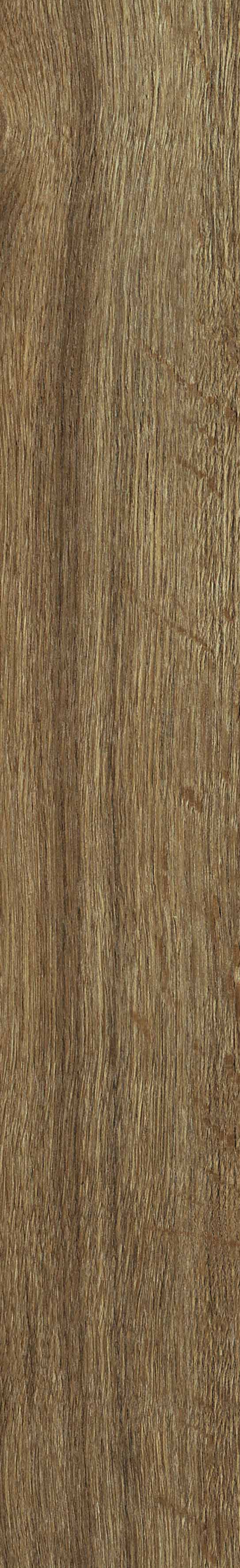 SGR30 Aurevia Honey 9.2x60 Stargres фото 12